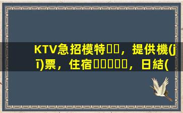KTV急招模特，提供機(jī)票，住宿，日結(jié)